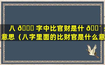 八 🐕 字中比官财是什 🌴 么意思（八字里面的比财官是什么意思）